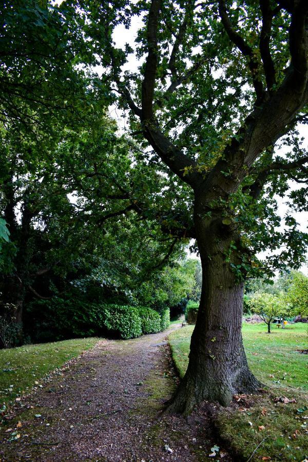 فندق دوفكليف هول هوتل Burton-upon-Trent المظهر الخارجي الصورة